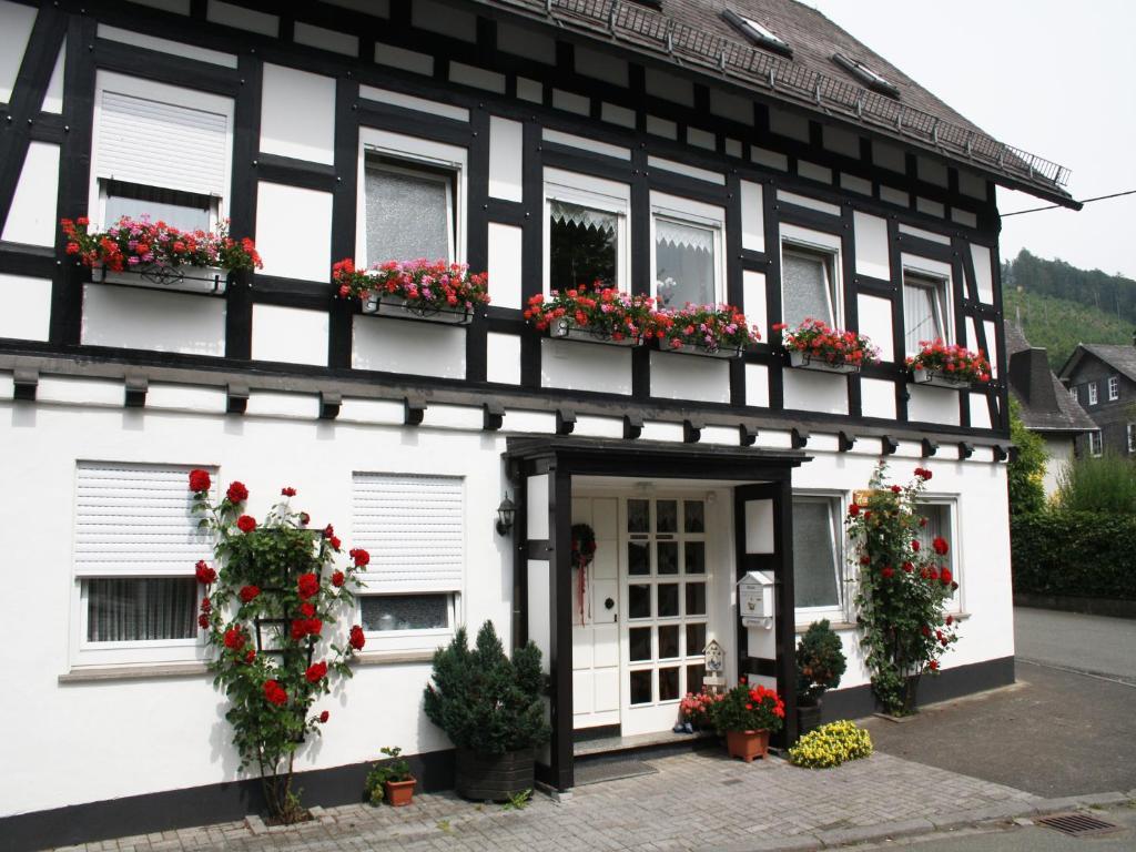 Apartment Haus Am Medebach Olsberg