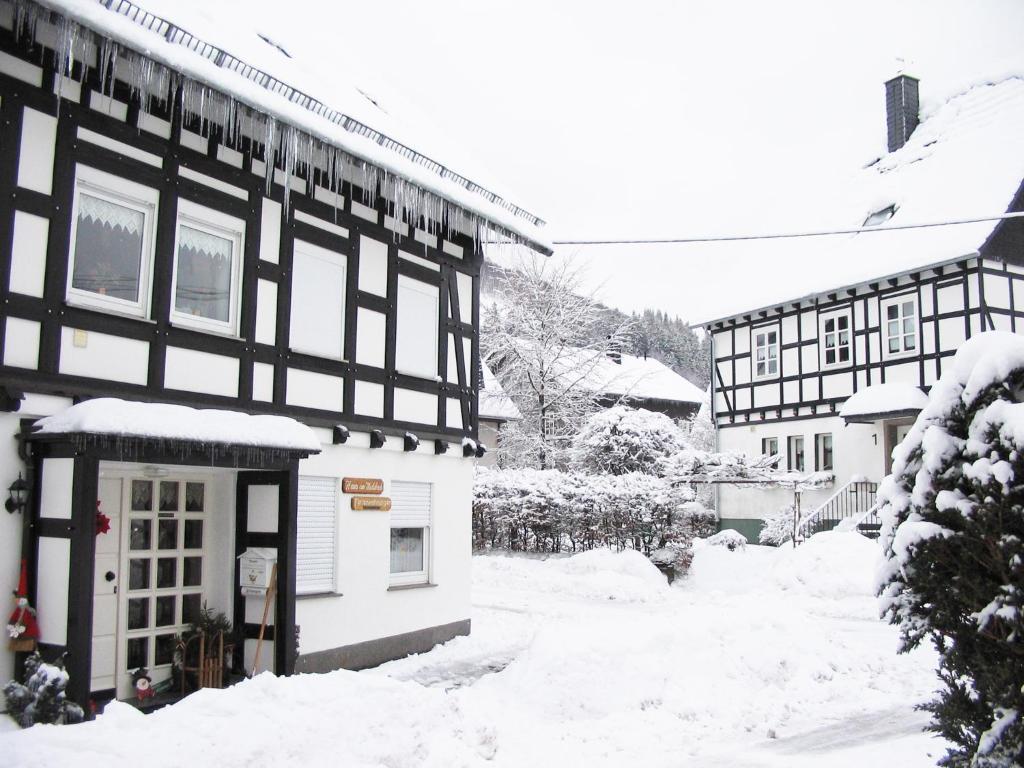 Apartment Haus Am Medebach *